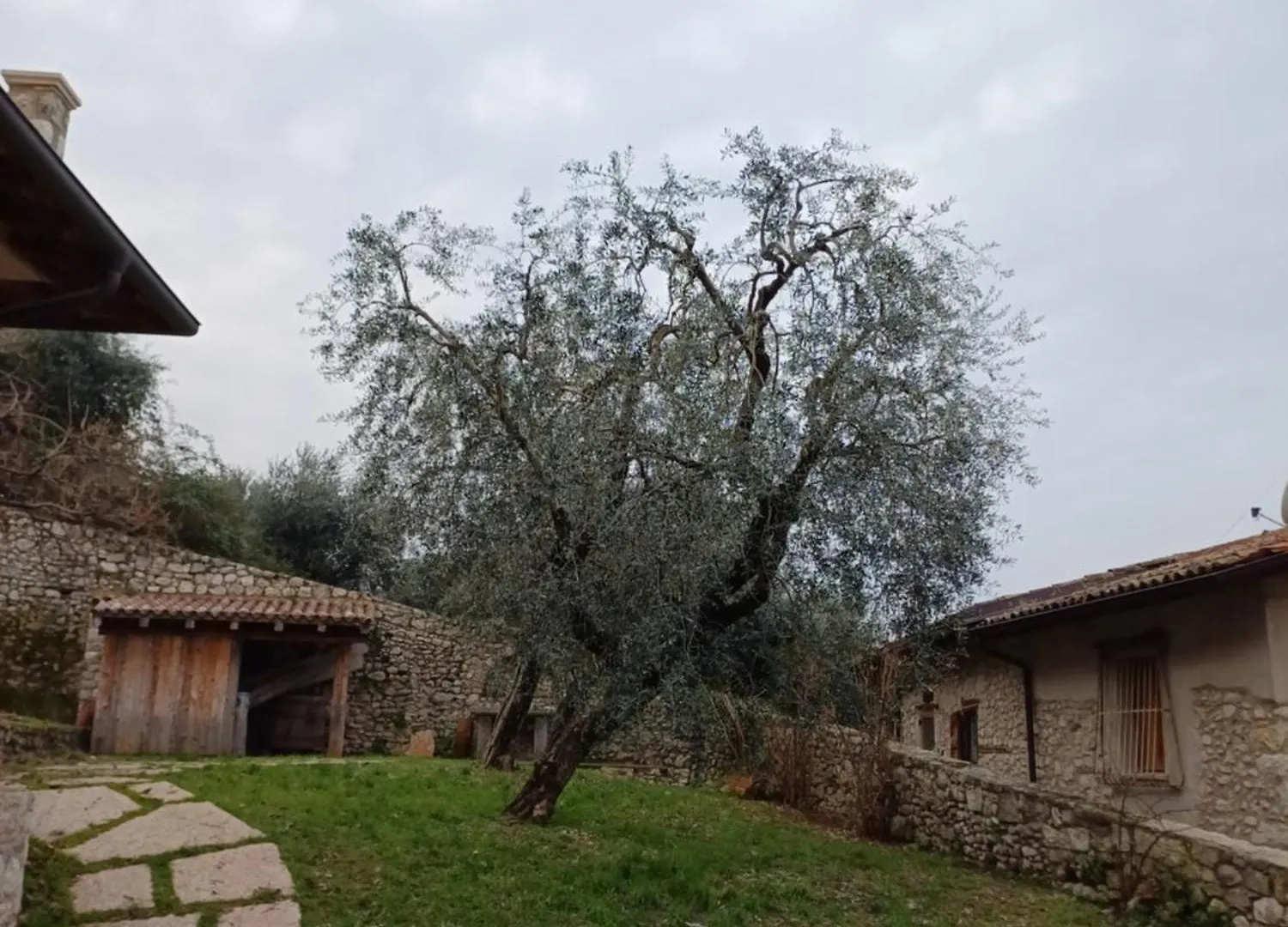 Appartamenti Albatros ブレンゾーネ イタリア
